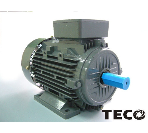 Motor kéo TECO - Động cơ điện TECO