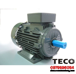 Motor kéo TECO - Động cơ điện TECO