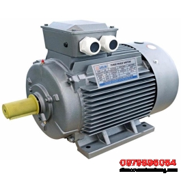 Motor điện 3 pha 45kw tốc độ 720 vòng / phút