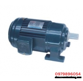 Motor giảm tốc bánh răng loại chân đế