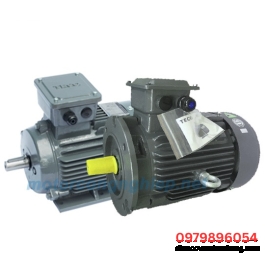 Mô Tơ Điện TECO 2HP - 1.5Kw