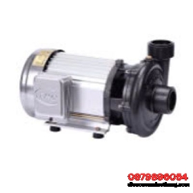 Bơm 1HP 42/34-Superwin Tân Hoàn Cầu