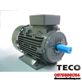 Motor kéo TECO - Động cơ điện TECO
