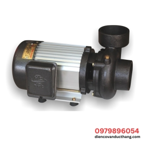 MÁY BƠM LY TÂM 2~3HP – VINA PUMP